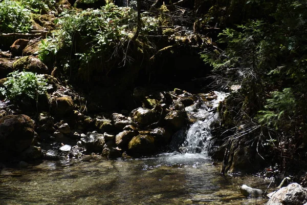 Ambiance Automne Dans Pays Des Salzburgers — Photo