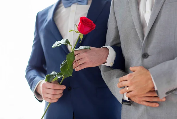 同性恋 同性婚姻和恋爱观 密切的男性同性恋夫妇幸福联系手牵着手在婚礼上的红色玫瑰花朵 — 图库照片