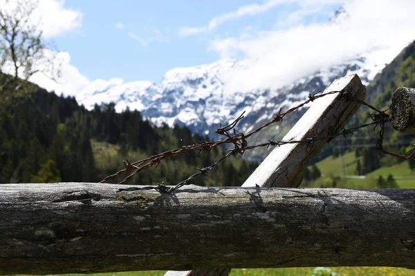 Clôture Bois Fil Barbelé Clôture Hohe Tauern Felbertauern Pâturage Pâturage — Photo