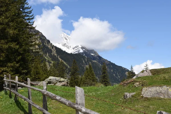 Feltro Hintersee Mittersill Hohe Tauern Vale Felbertauern Parque Nacional Tauernkogel — Fotografia de Stock