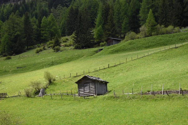 Feltro Hintersee Mittersill Hohe Tauern Vale Felbertauern Parque Nacional Tauernkogel — Fotografia de Stock