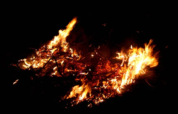 Fuego Abierto Bosque Por Noche —  Fotos de Stock