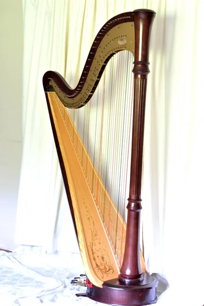 Dark Wood Koncert Grand Pedał Harfa Przed Szerokimi Zasłonami — Zdjęcie stockowe