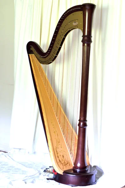Madeira Escura Concerto Grande Pedal Harpa Contra Cortinas Largas — Fotografia de Stock