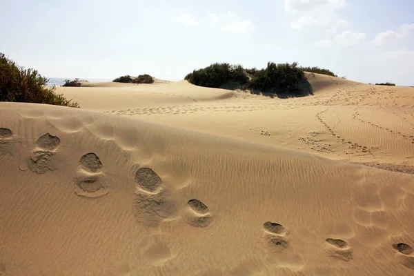 stock image scenic view of dunes, selective focus