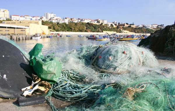 Sines fishing port. A cat have a sunbath over old ropes, fish traps and other fishers objets
