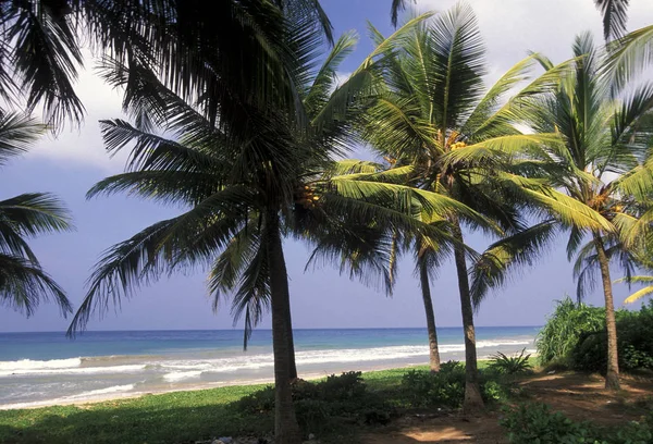 Пляжі Біля Узбережжя Hikaduwa Westcoast Шрі Ланки Asien — стокове фото