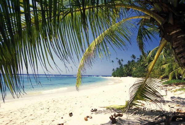 Una Playa Costa Hikaduwa Costa Occidental Sri Lanka Asien —  Fotos de Stock