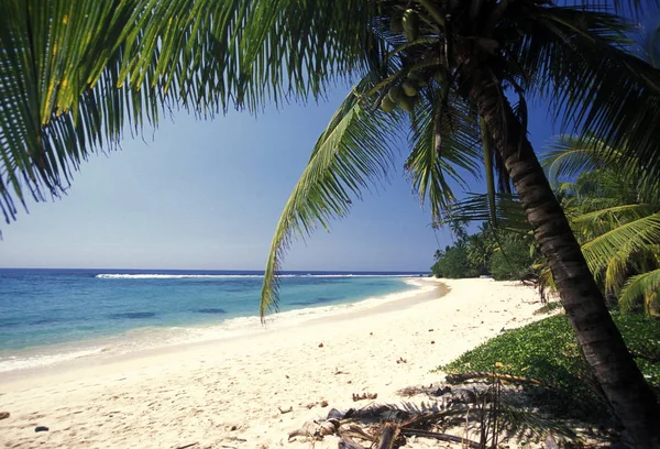 Uma Praia Costa Hikaduwa Costa Oeste Sri Lanka Asien — Fotografia de Stock