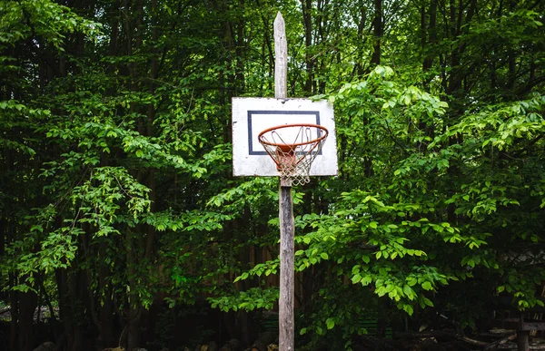 Alter Basketballkorb Wald Vor Bäumen — Stockfoto