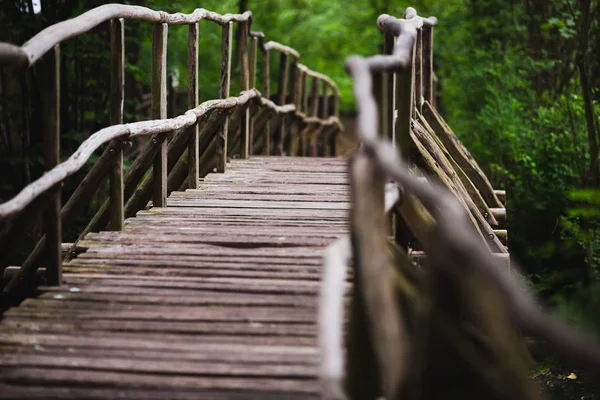 Старый Деревянный Мост Глубоком Лесу — стоковое фото