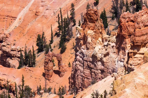 Punto Supremo Cedro Rompe Monumento Nazionale Utah Stati Uniti — Foto Stock