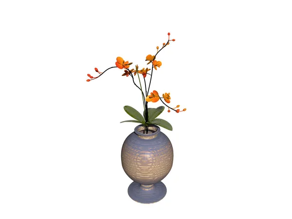 Vase Flowers White Background — Stock Photo, Image