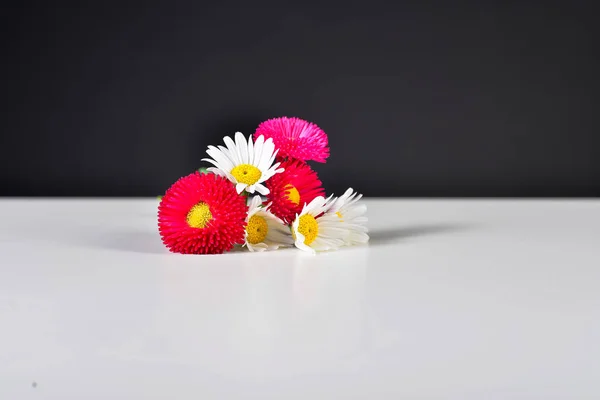 Siyah Arkaplanda Çiçekler — Stok fotoğraf