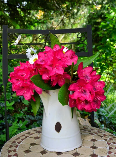 Fiori Rododendro Una Scatola Bianca Può — Foto Stock