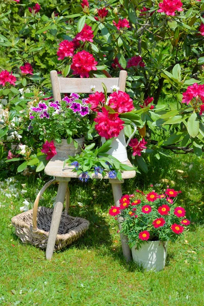 Cadeira Velha Jardim Com Flores Primavera — Fotografia de Stock