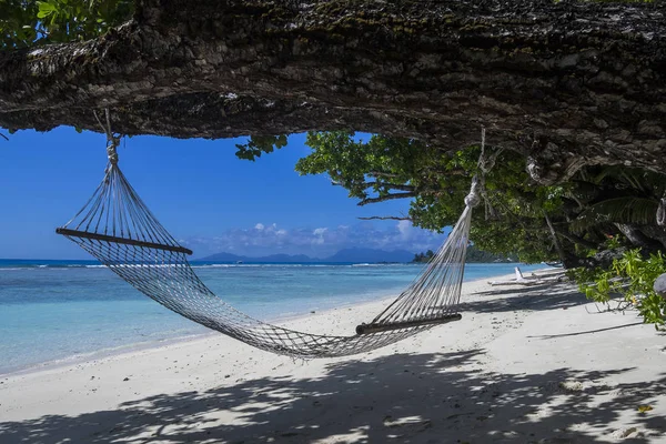 Seyşeller Hilton Skelesinde Siluet Zlanda — Stok fotoğraf