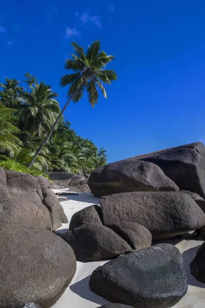 Silhouette Île Rêve Aux Seychelles — Photo