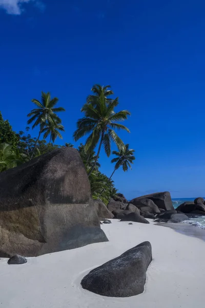 Silhouette Île Rêve Aux Seychelles — Photo
