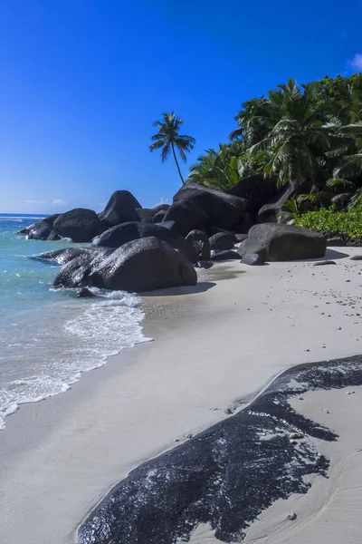 silhouette - dream island in the seychelles