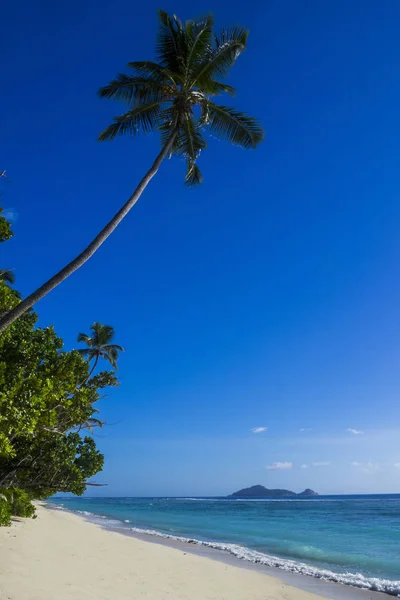 Silhouette Dream Island Seychelles Background North Iceland — стоковое фото