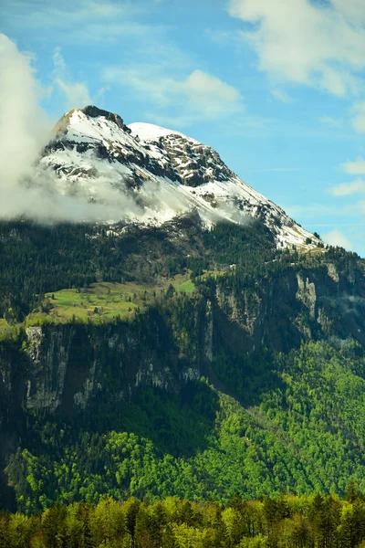 Pico Alpino Suiza Nieve Árboles Acantilados Cielo —  Fotos de Stock