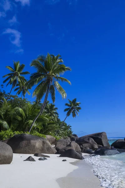 Seychellen Silhouet Eiland Droom Ijsland — Stockfoto