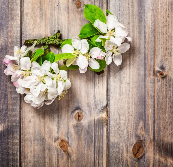 Λουλούδια Μήλου Ξύλινο Φόντο Ανθισμένο Κλαδί Δέντρου Την Άνοιξη Πάνω — Φωτογραφία Αρχείου