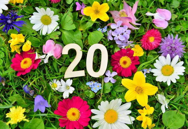 Cumpleaños Número Prado Flores —  Fotos de Stock