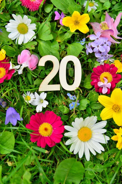 Födelsedagsnummer Blomsteräng — Stockfoto