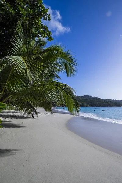 Anse Lazio Vysněná Pláž Ostrově Praslin Seychely — Stock fotografie