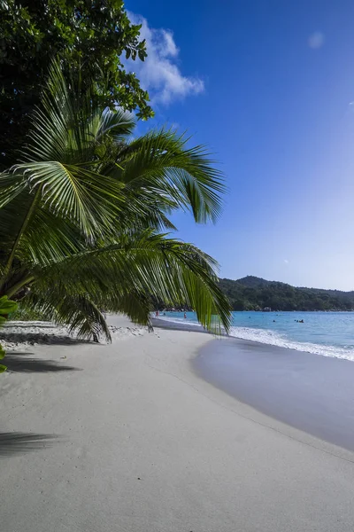 Anse Lazio Пляж Мечты Острове Праслин Сейшелы — стоковое фото