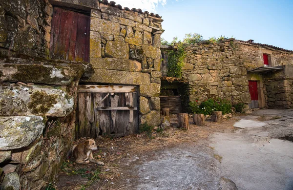 Galiçya Spanya Daki Tipik Yaşlı Çiftlik Evi Cephesi — Stok fotoğraf