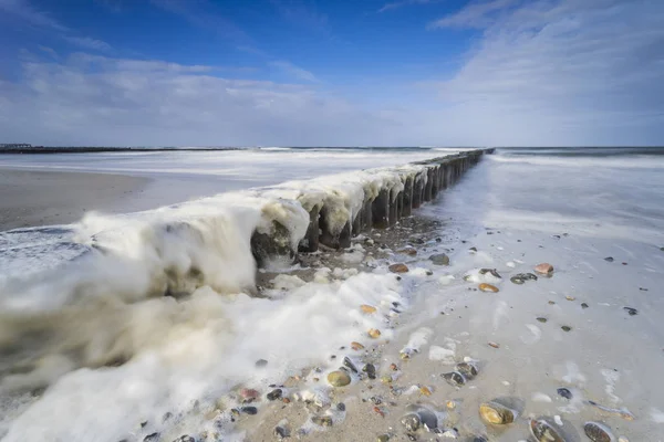 baltic sea in evening light and long exposure,setting sun irradiated branches and stones in sea water troubled sea and foaming waves on the shore,