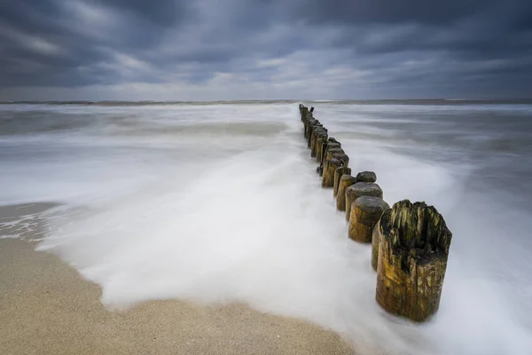 baltic sea in evening light and long exposure,setting sun irradiated branches and stones in sea water troubled sea and foaming waves on the shore,