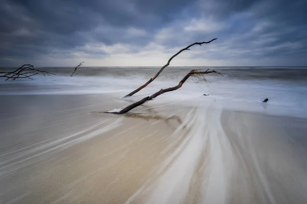 baltic sea in evening light and long exposure,setting sun irradiated branches and stones in sea water troubled sea and foaming waves on the shore,