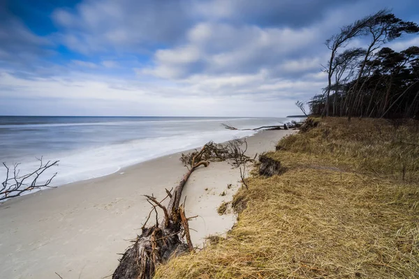 baltic sea in evening light and long exposure,setting sun irradiated branches and stones in sea water,beautiful clouds in a sunset,stormy sea with spume on the beach