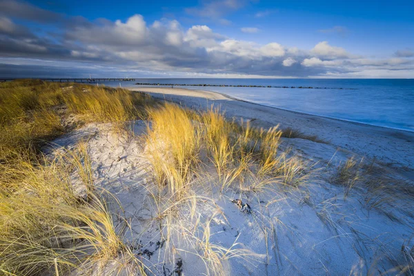 Балтійське Море Золотою Жовтою Пляжною Травою Сонячному Світлі Зима Балтійському — стокове фото