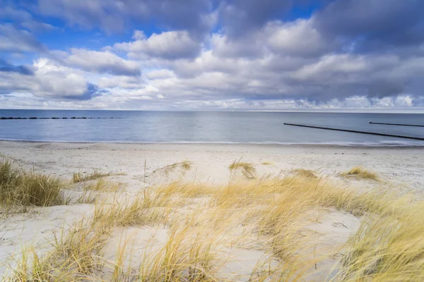 Morze Bałtyckie Złotą Żółtą Trawą Plażową Świetle Słonecznym Zimą Morzu — Zdjęcie stockowe