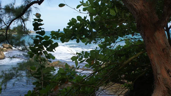Wunderschönes Puerto Rico Fantastisches Land Karibischen Meer — Stockfoto