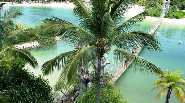 Singapur Zobacz Pięknej Przyrody Pobliżu Wyspy Sentosa — Zdjęcie stockowe