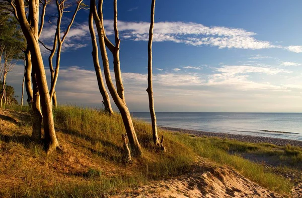 Tramonto Sulla Spiaggia — Foto Stock