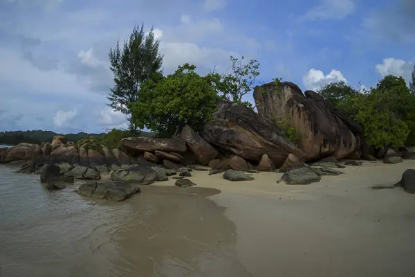 Pantai Praslin Anse Madge — Stok Foto