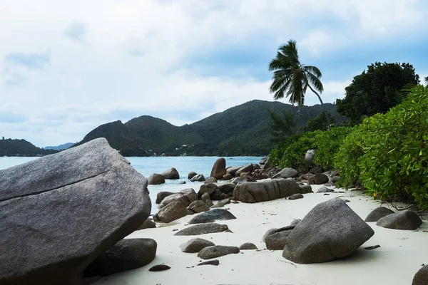 Seychelles Praslin Anse Boudin Curieuse Island — ストック写真