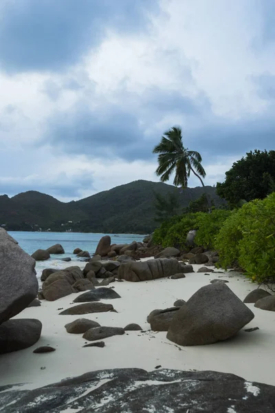 Seychelles Praslin Anse Boudin Curieuse Island — Foto de Stock