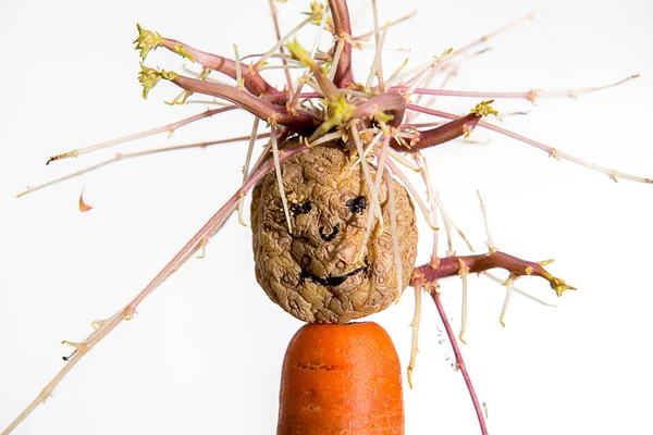 Проростаюче Картопляне Обличчя Морквяному Фоні Білого Фону — стокове фото