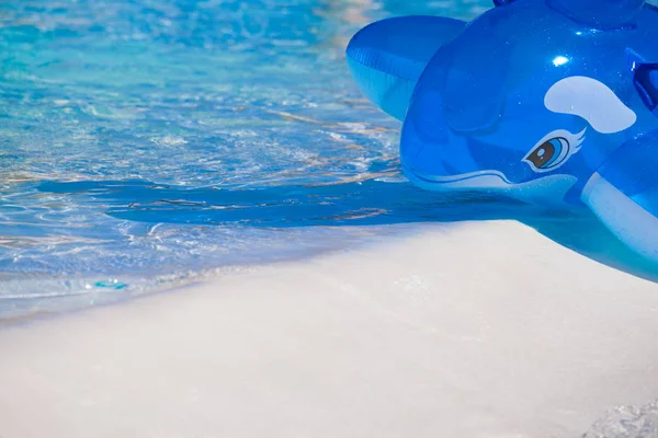スイミングプールで膨脹可能な青いクジラのおもちゃ — ストック写真