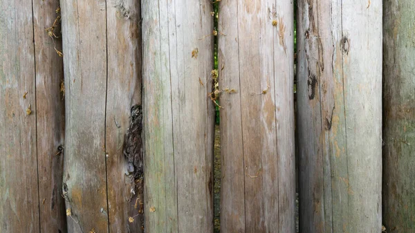 带有自然图案质感的旧木制栅栏 — 图库照片