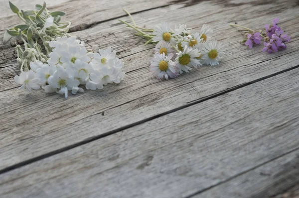 Μικρό Τσαμπιά Των Λουλουδιών Ξύλινο Υπόβαθρο Αντίγραφο Χώρου Ανάγλυφη Επιφάνεια — Φωτογραφία Αρχείου