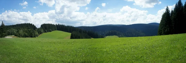 Krajobraz Czarnym Lesie — Zdjęcie stockowe